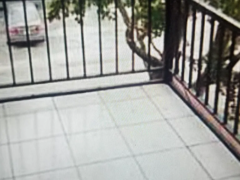 covered patio with new tranquil views