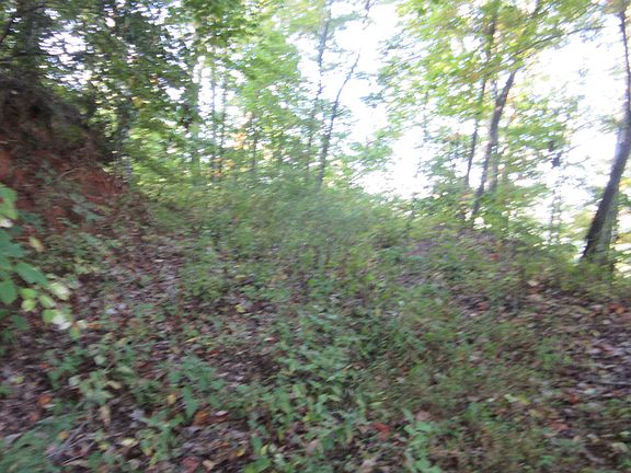 3rd image of Skyland Dr
