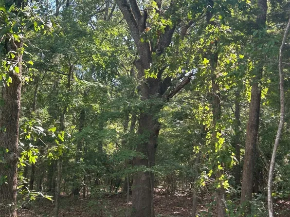 35 Private Road 43955, Blossom, TX 75416