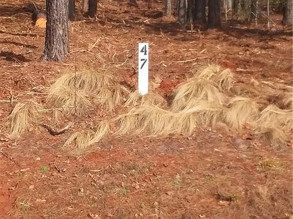 3rd image of Plantation Pointe Drive 47 Lot 47