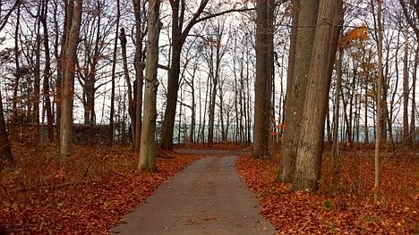 Fall View of Lake MI 