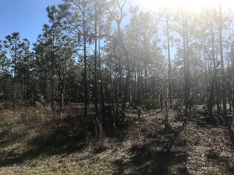 2nd image of 862 W Horizon Ln