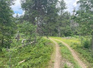 Buck Rd, Roscommon, MI 48653