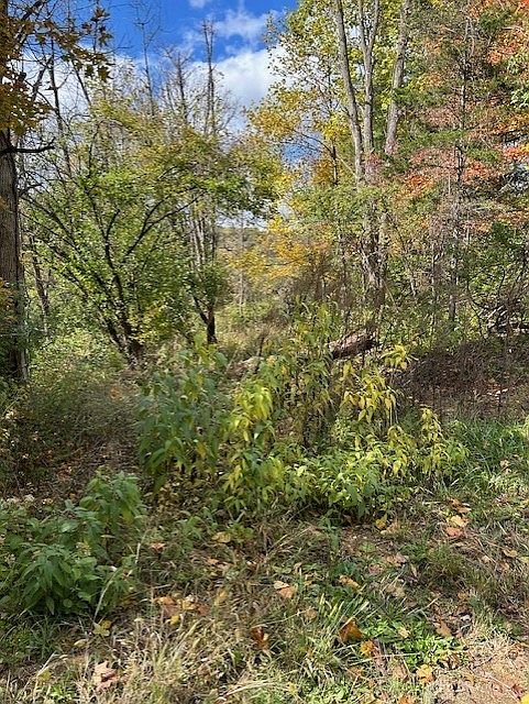 2nd image of 4617 Bath Rd