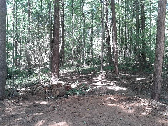 3rd image of 7665 Katherine Dr