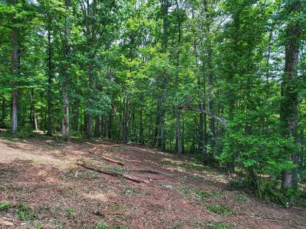 91 The Preserve Flt, Young Harris, GA 30582