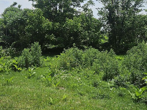 3rd image of 6871 Battle Creek Hwy