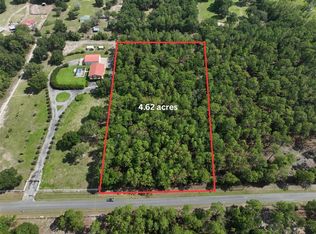 SW 97TH PL, DUNNELLON, FL 34432