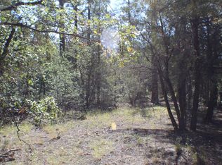 4121 Pioneer Ln, Lakeside, AZ 85929