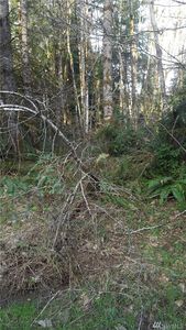 300 Willchar Blvd, Shelton, WA, 98584