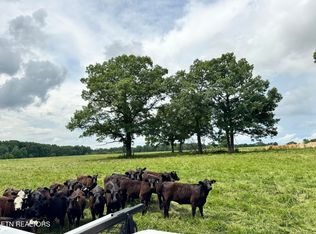 Old Bean Shed 34acres Rd, Clarkrange, TN 38553