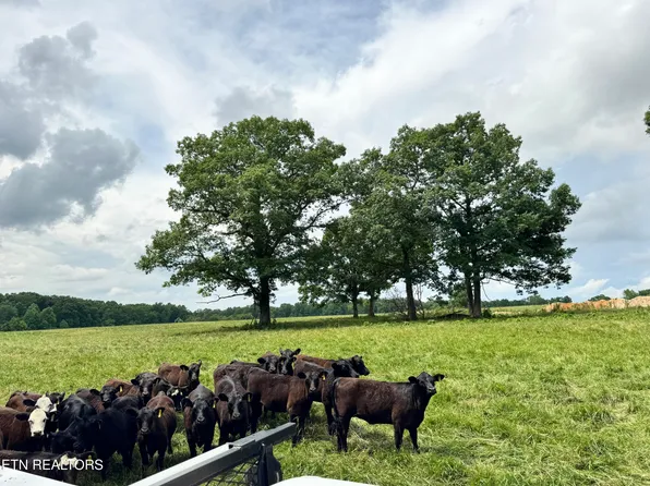 Old Bean Shed 34acres Rd, Clarkrange, TN 38553