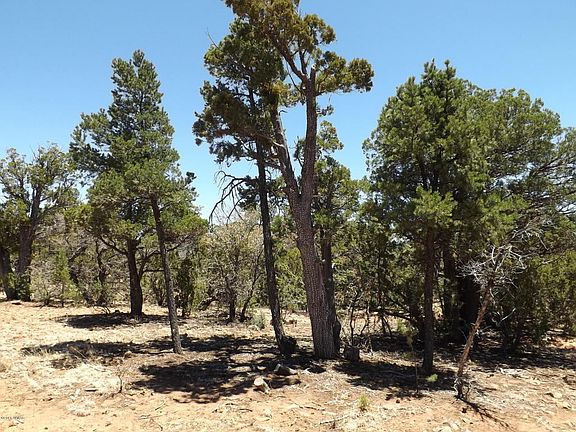 5th image of 1529 Low Mountain Trl