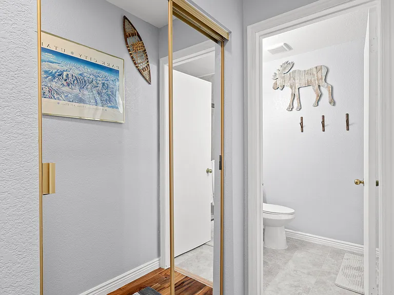 Closet Storage / Bathroom