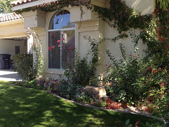 Front yard