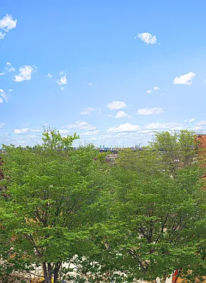 Sold by Compass | media 14