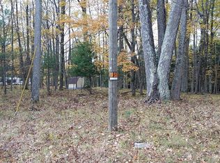 Dexter Rd, Irons, MI 49644