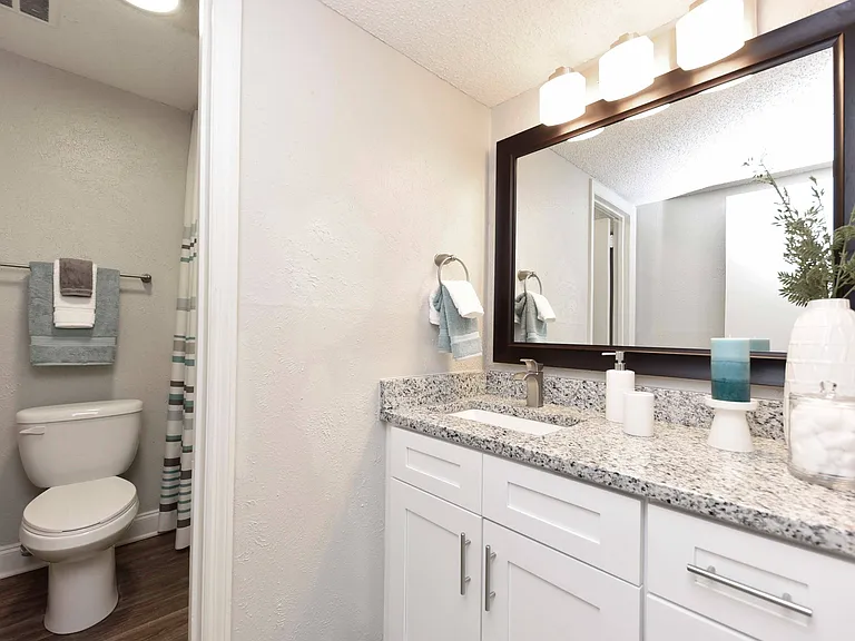 Granite Counters + Undermount Sinks