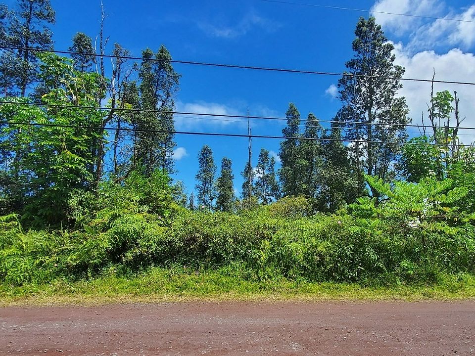 1st image of Hibiscus Dr Lot 33