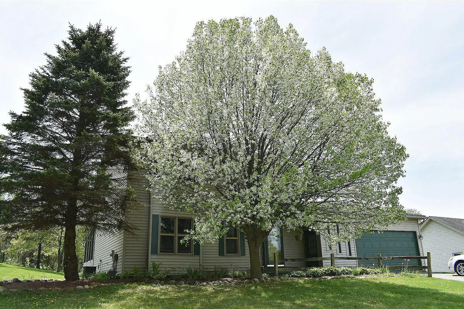 840 Mill St photo 1