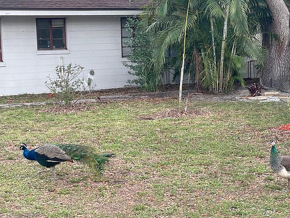 2nd image of 4306 Sarasota Ave