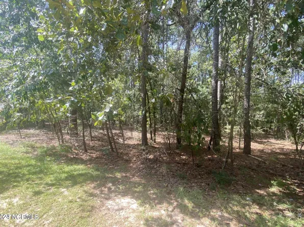 21 Racoon Run Road, Wagram, NC 28396