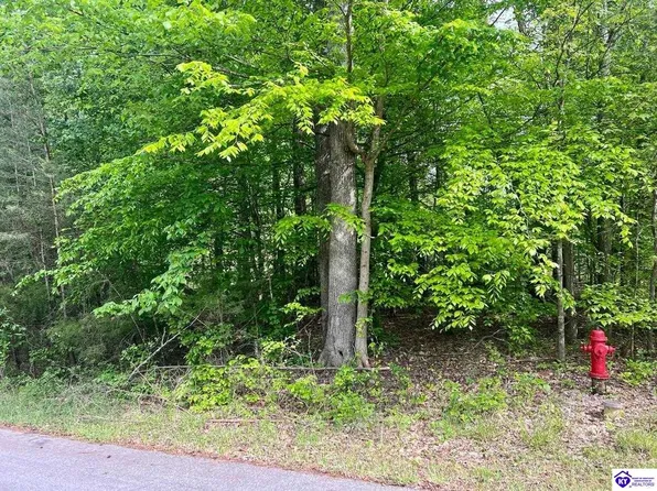 LOT 45 Clear Creek Dr, Boston, KY 40107