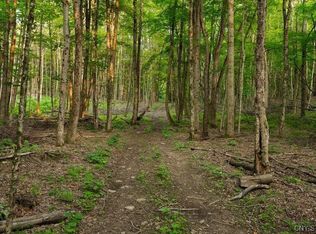 Armstrong Rd #3, West Winfield, NY 13491