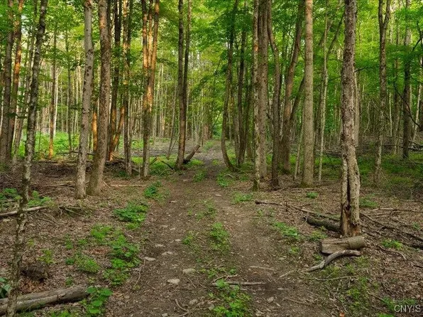 Armstrong Rd #3, West Winfield, NY 13491