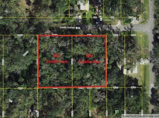 909 Estelle Ave Lot 3, Brandon, FL 33511
