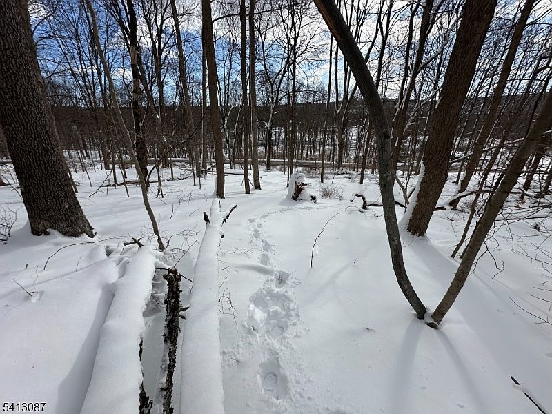 2nd image of 558 Stanhope Rd