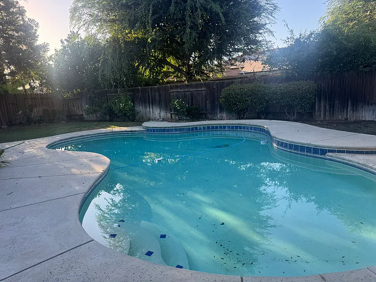 Backyard Pool