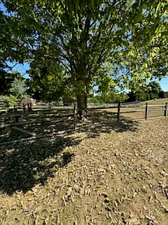 192 Battle Dr — Photo 5