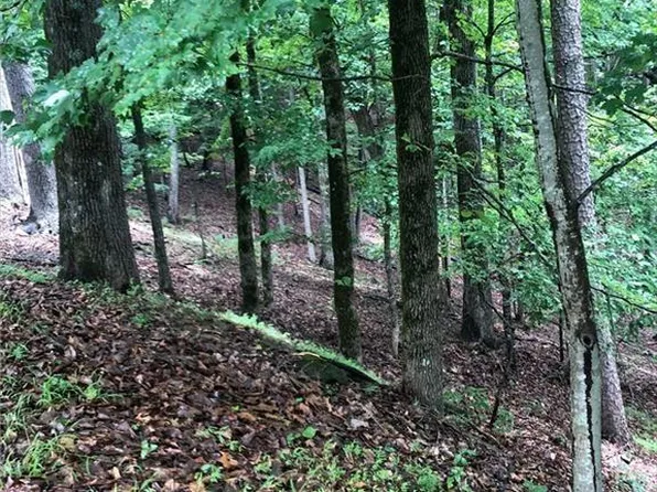 6055 Crested Iris Cir #6055, Jasper, GA 30143