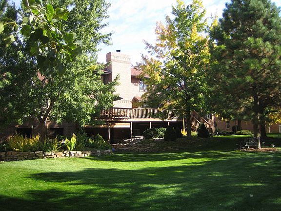 Back yard