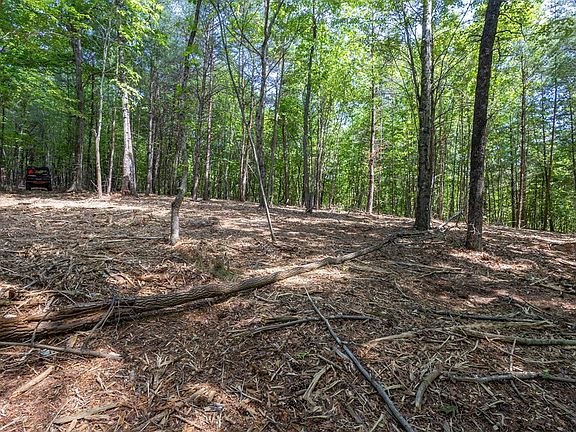 2nd image of Pack Mountain Rd