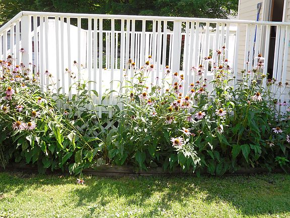 Perennial bed next to deck