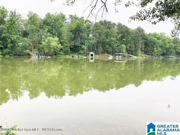 0 County Road 950 #4, Crane Hill, AL 35053