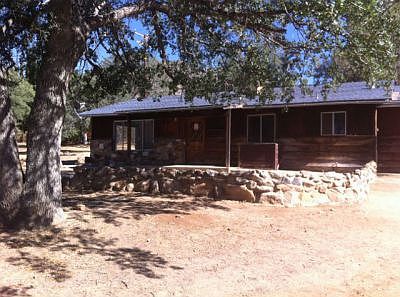 Large Shade tree in Front Yard