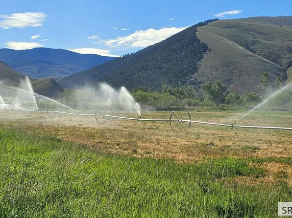 Nkn Agency Creek Rd, Tendoy, ID 83468
