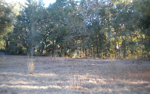 1st image of 262 SW Vann Ct