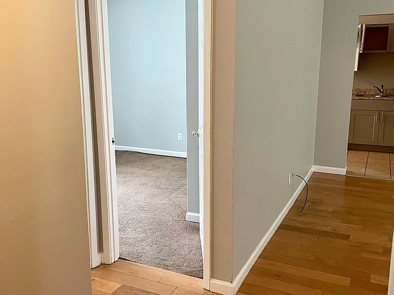 5843 Cabanne Ave #E — Photo 11