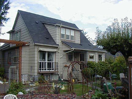 Back yard