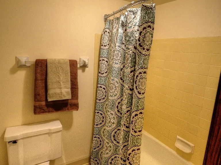Bathroom with tub and shower