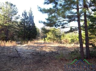 Tbd Freeman, Daingerfield, TX 75638