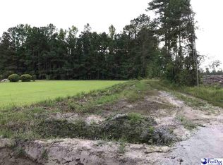 1445 Rogers Rd, Darlington, SC 29532