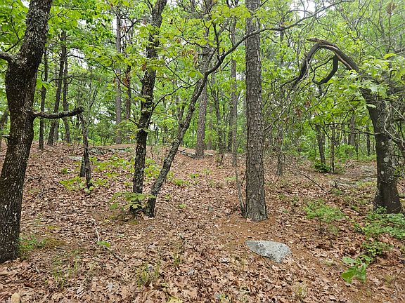 3rd image of W Middle Mountain Rd