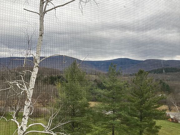 View from living room