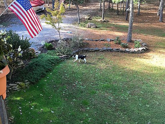Front deck view of yard