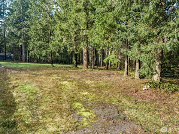 0 Satsop Avenue, Shelton, WA 98584